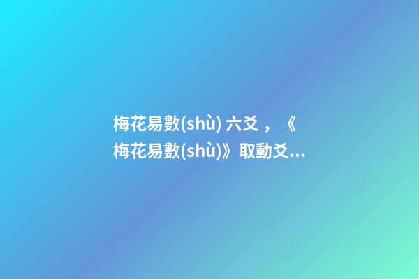 梅花易數(shù) 六爻，《梅花易數(shù)》取動爻法
